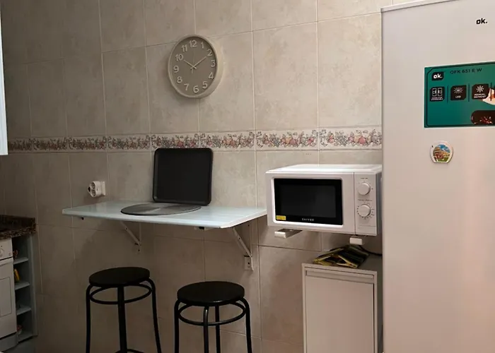 Apartamento 1 Dormitorio - Geraneos 14